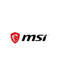 MSI